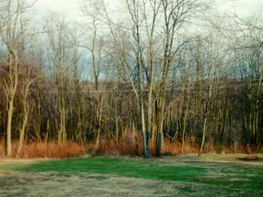 111 Cornetti Road Cabot, PA 16023 - Photo 8 of 8