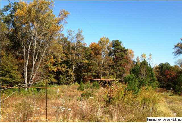 7067 Sellers Road Dora, AL 35062 - Photo 3 of 4