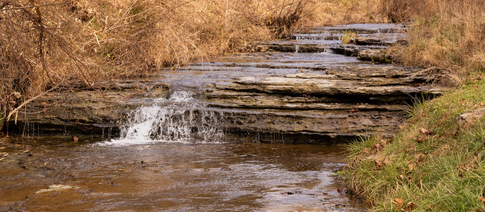 105 Pollock Hollow Road Minor Hill, TN 38473 - Photo 6 of 18