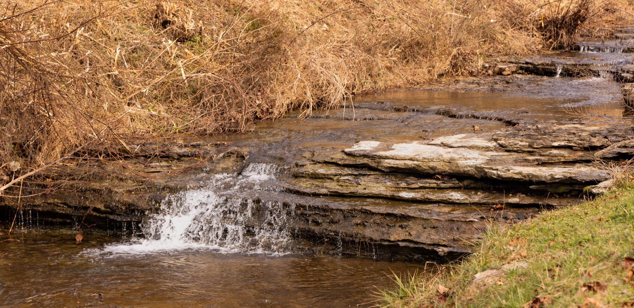 105 Pollock Hollow Road Minor Hill, TN 38473 - Photo 7 of 18