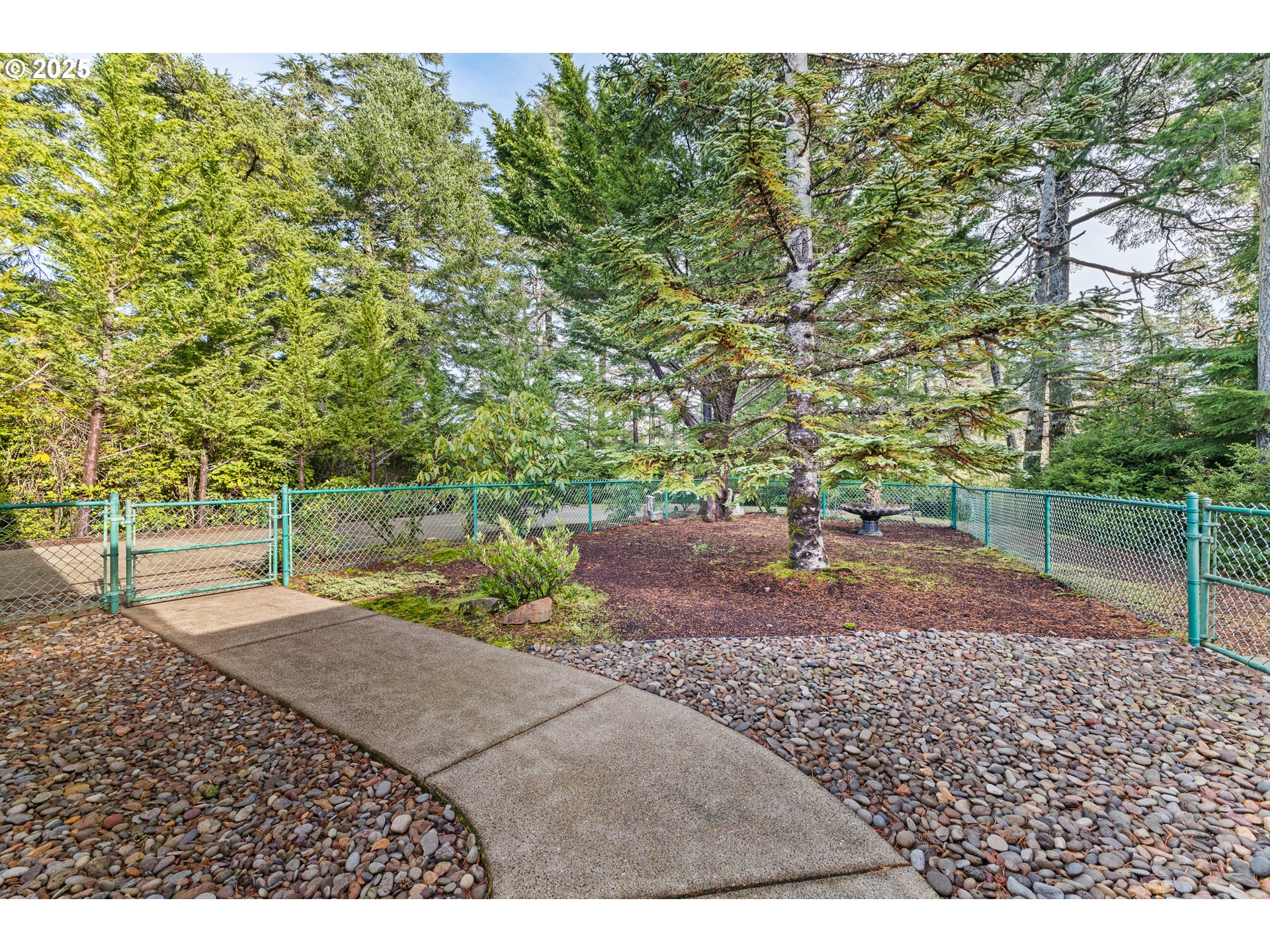 852 Munsel Creek Loop Florence, OR 97439 - Photo 41 of 48 a backyard of a house with lots of green space