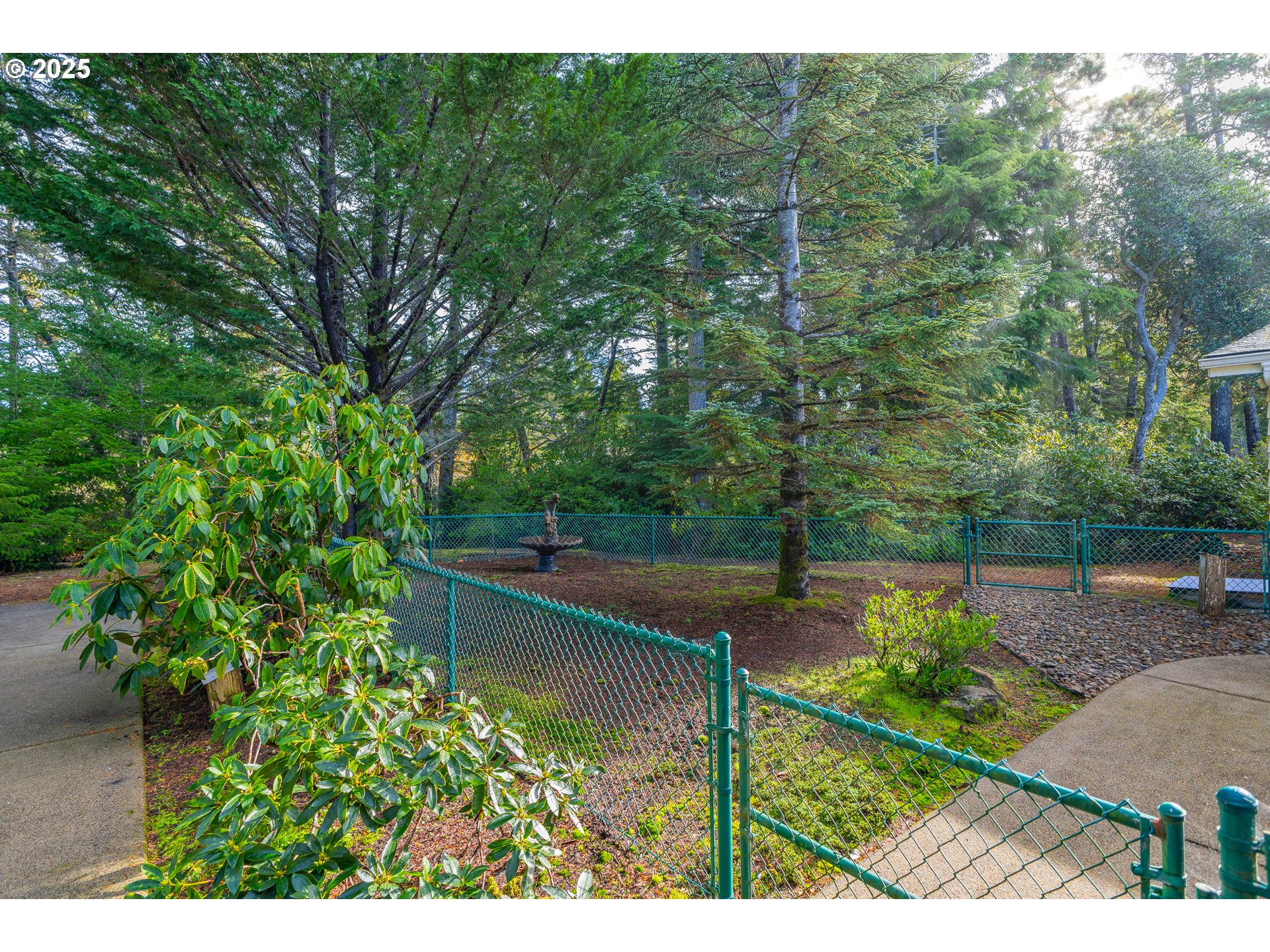 852 Munsel Creek Loop Florence, OR 97439 - Photo 8 of 48 a view of a backyard