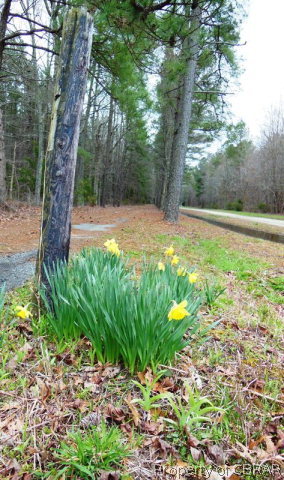 6914 Ware Neck Road Gloucester, VA 23061 - Photo 38 of 41