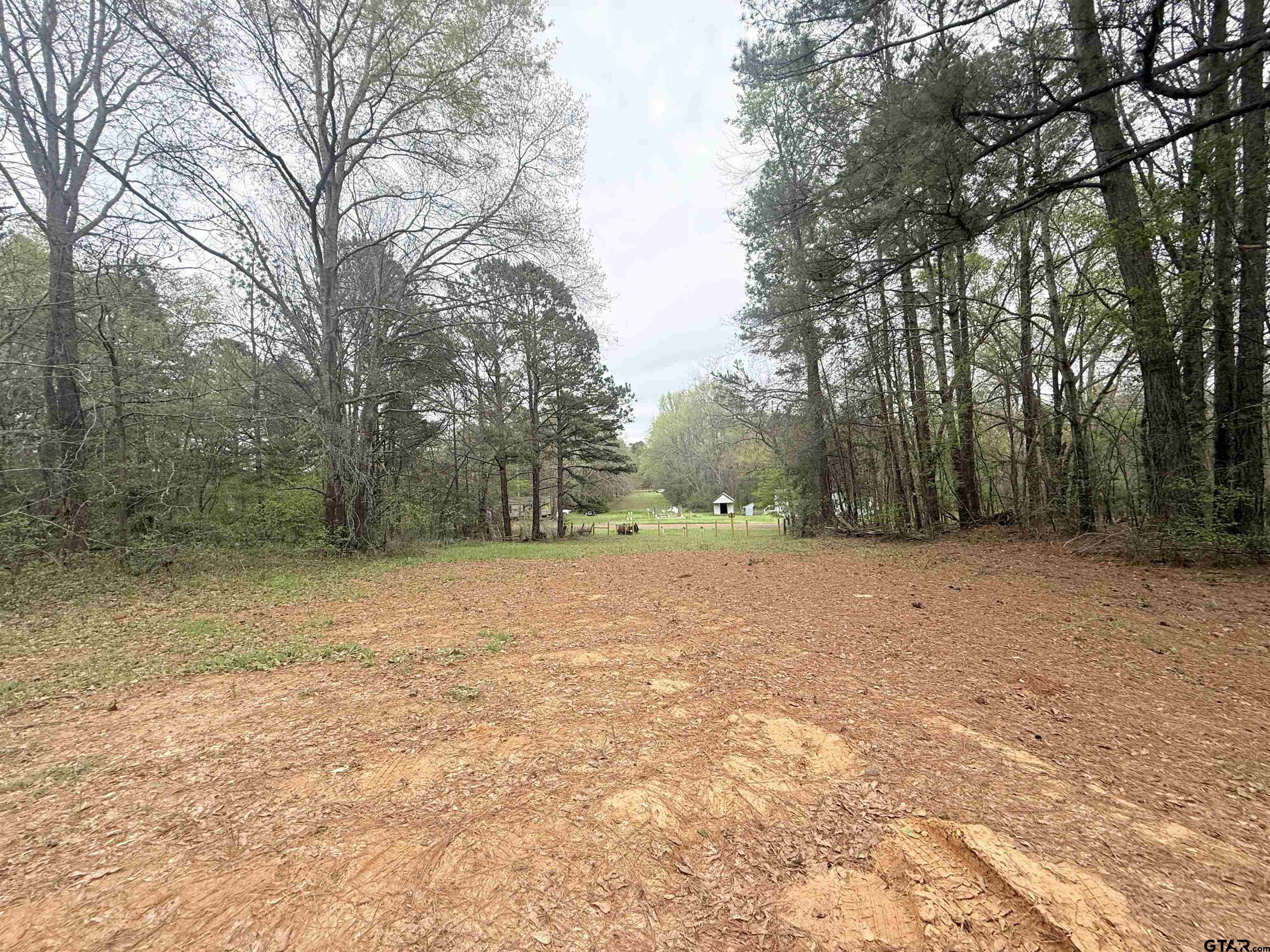 10933 County Road 384 Tyler, TX 75708 - Photo 5 of 8 a view of outdoor space with large trees