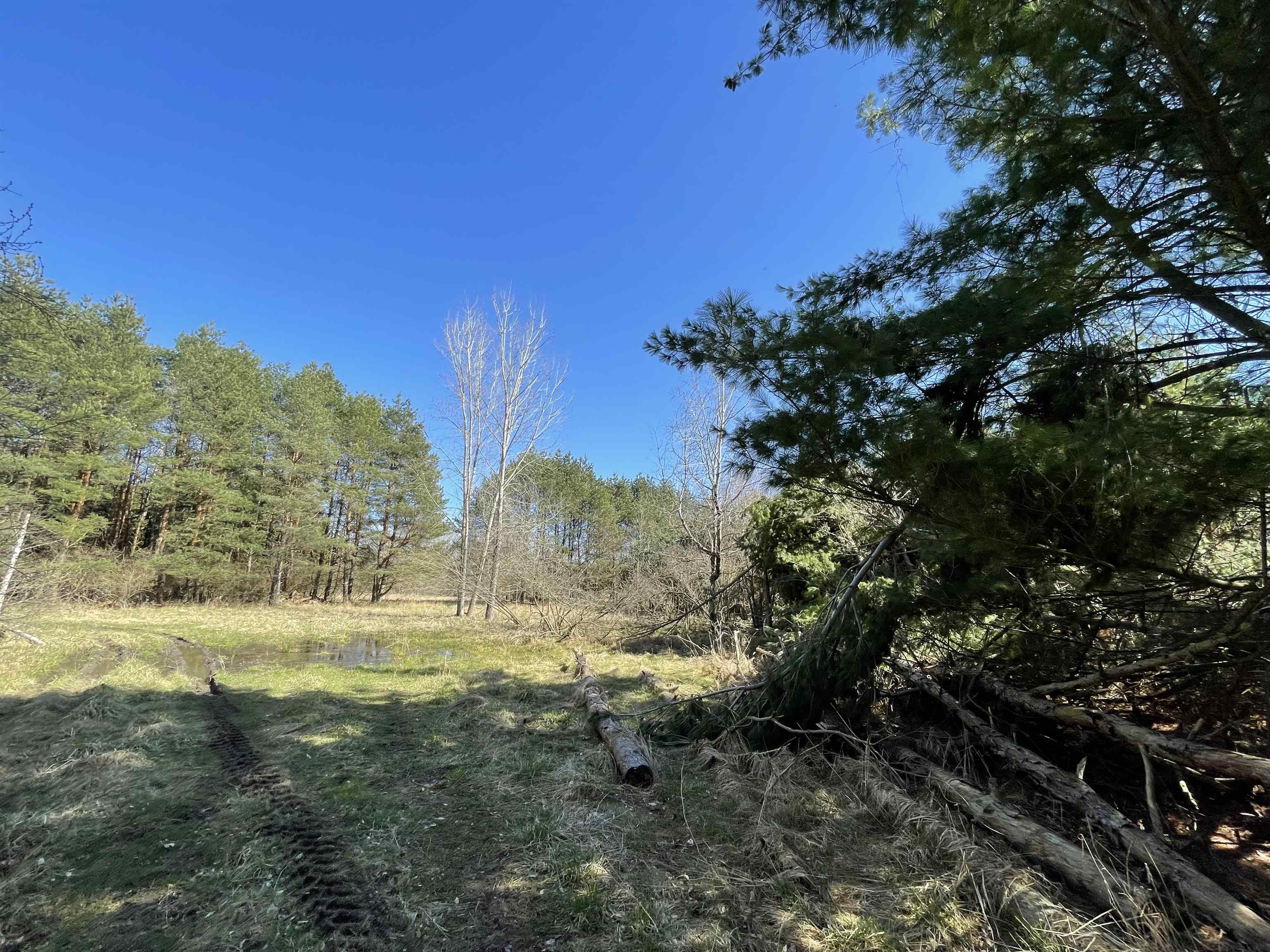 Tbd South Tbd S Fenmore Road Merrill, MI 48637 - Photo 5 of 19
