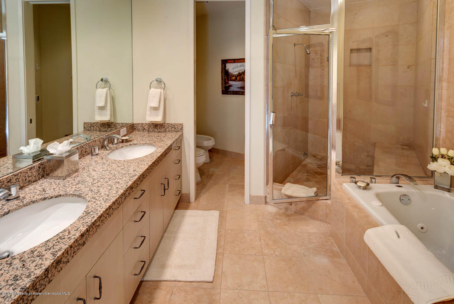 381 Ridge Road, Unit A3 Snowmass Village, CO 81615 - Photo 16 of 32 Bath1