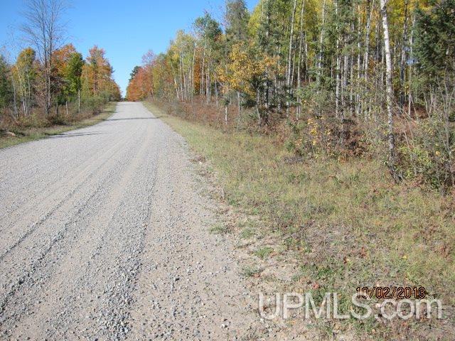 Tbd WPA Road Crystal Falls, MI 49920 - Photo 23 of 33