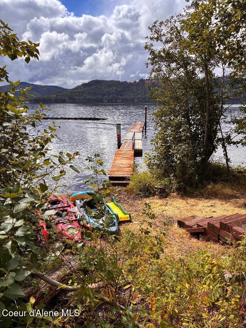1700 East Russell Road Harrison, ID 83833 - Photo 80 of 84 swim dock 1