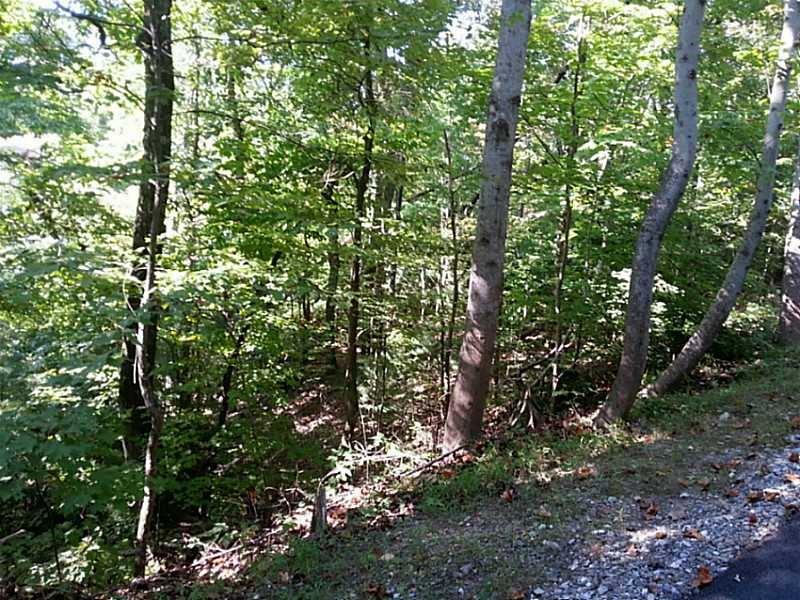 13 A Greystone Road Talking Rock, GA 30175 - Photo 2 of 9 a view of a forest