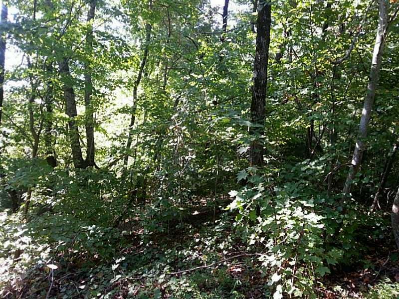 13 A Greystone Road Talking Rock, GA 30175 - Photo 3 of 9