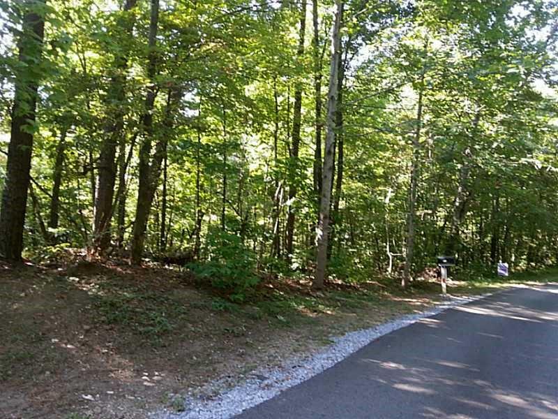 13 A Greystone Road Talking Rock, GA 30175 - Photo 4 of 9 a view of a tree in a yard