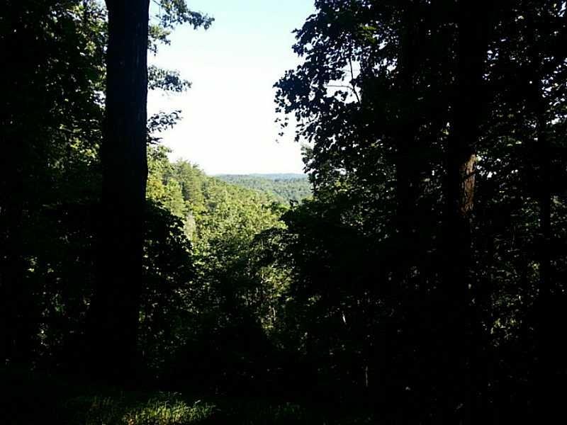 13 A Greystone Road Talking Rock, GA 30175 - Photo 6 of 9 a view of outdoor space and garden