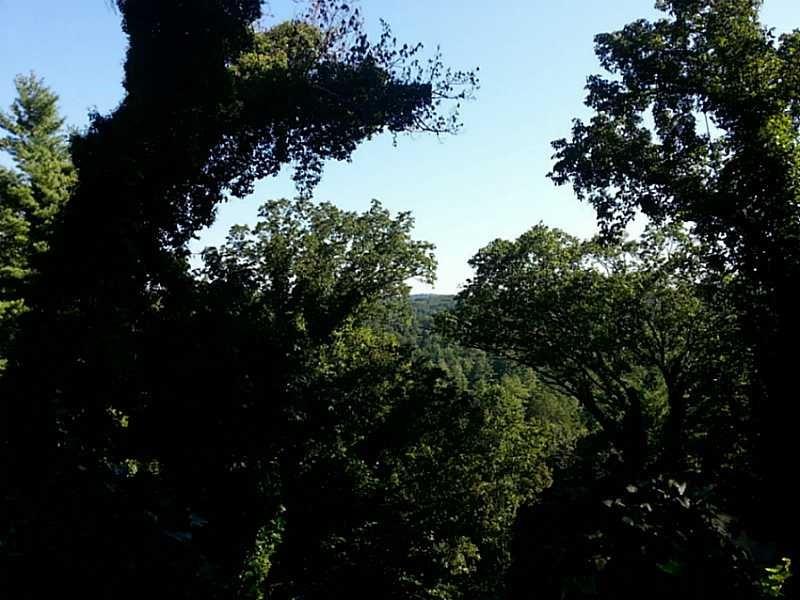 13 A Greystone Road Talking Rock, GA 30175 - Photo 7 of 9 a view of a tree in a bunch of flowers