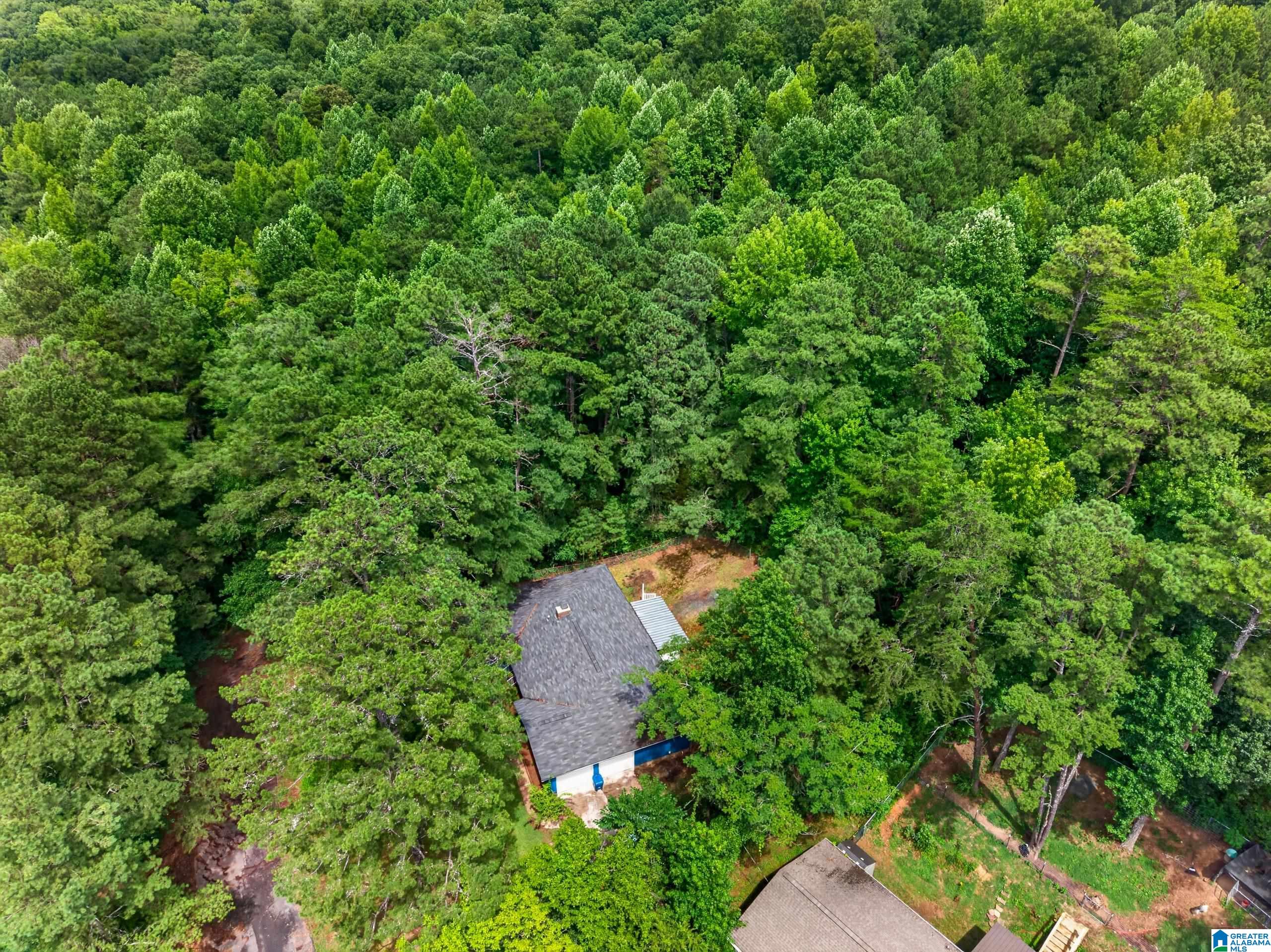 813 Sunshine Avenue Oneonta, AL 35121 - Photo 52 of 54