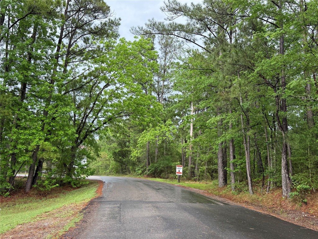 25 Ridge Top Drive Huntsville, TX 77320 - Photo 19 of 19 a view of a road with a trees