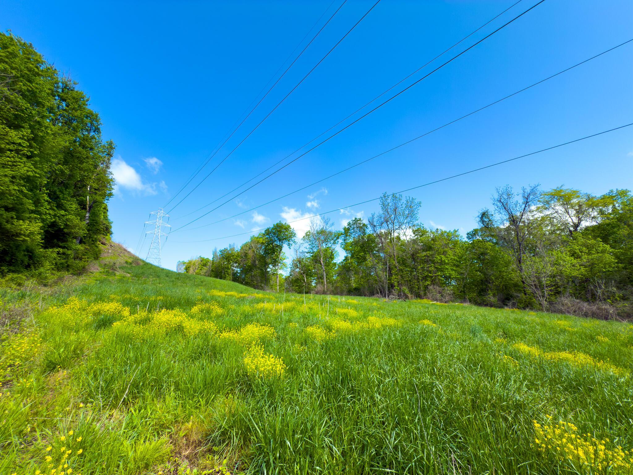 0 Morganville Road Malta, OH 43758 - Photo 20 of 30 Morganville rd-19