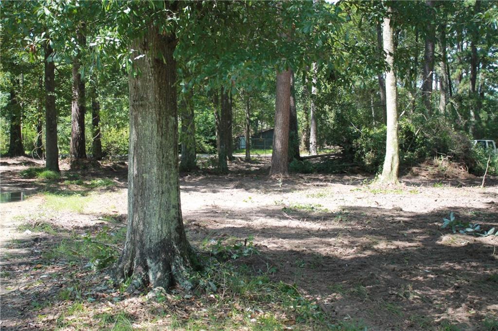 0 Richardson Road Independence, LA 70443 - Photo 3 of 7 Gallery Image 3