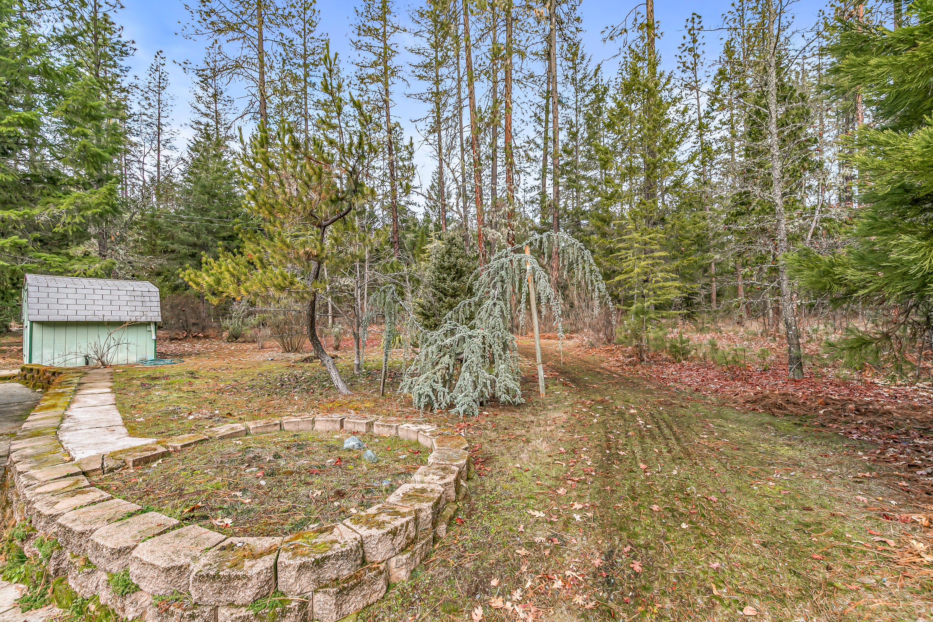 3610 Pleasant Creek Road Rogue River, OR 97537 - Photo 86 of 110 9R9A7152