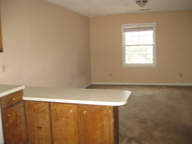 120 Sizemore Road Box Springs, GA 31801 - Photo 6 of 7 Gallery Image 6