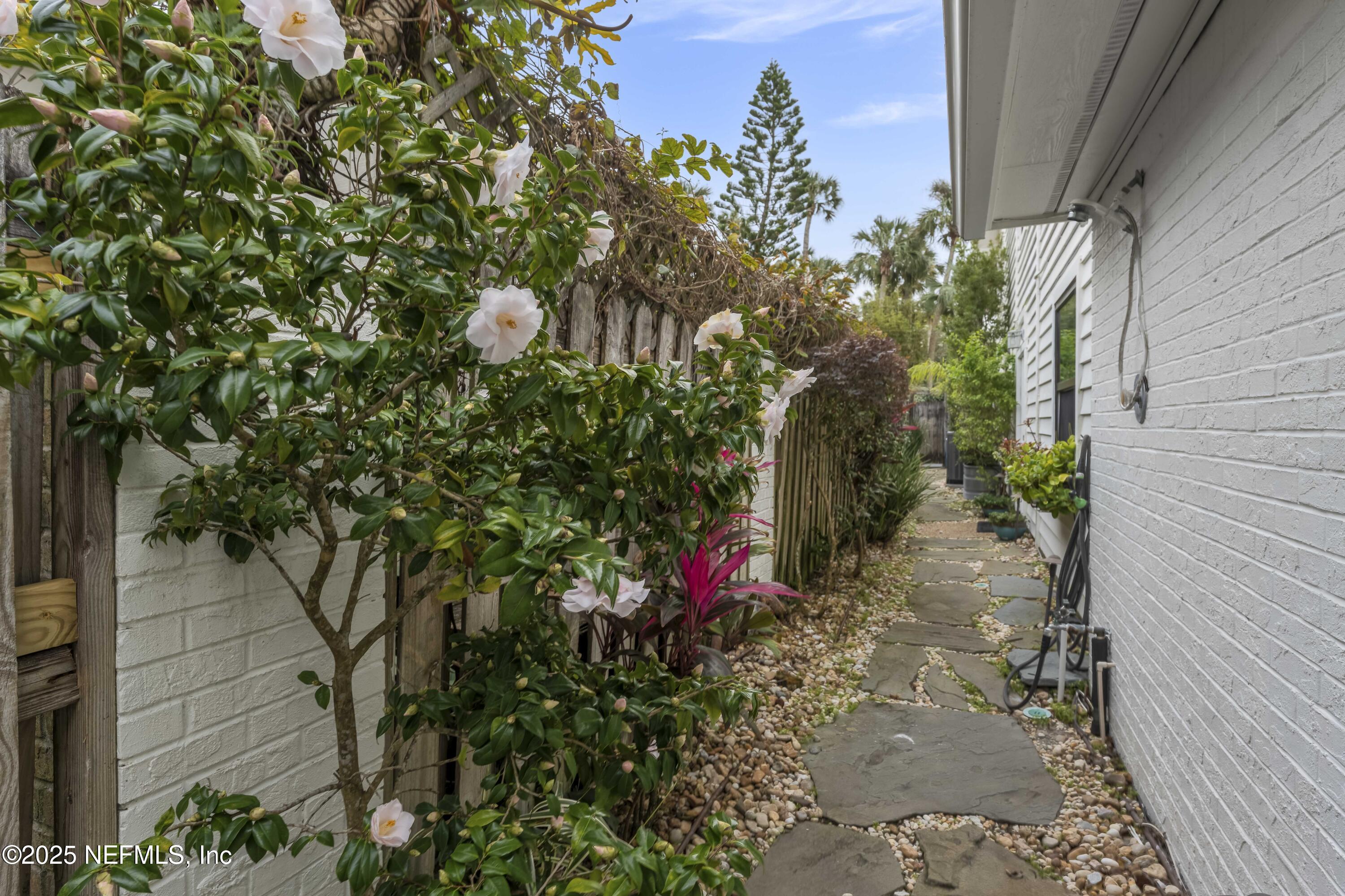 372 4th Street Atlantic Beach, FL 32233 - Photo 8 of 77 a backyard of a house with lots of green space