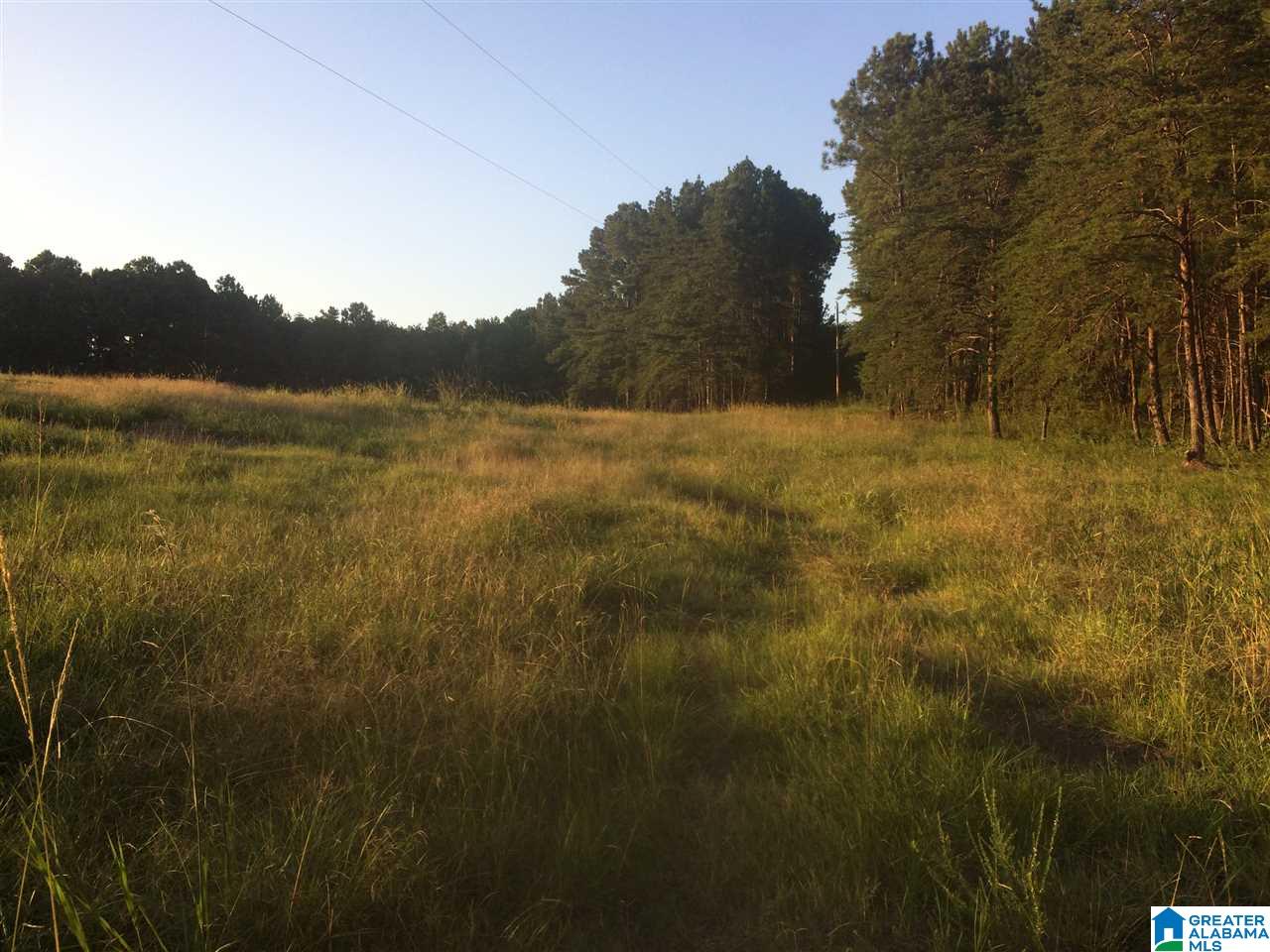 17999 Groundhog Road, Unit 40 Adger, AL 35006 - Photo 4 of 10