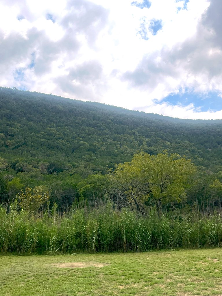 2765 West Ranch Road 337 Leakey, TX 78873 - Photo 12 of 48