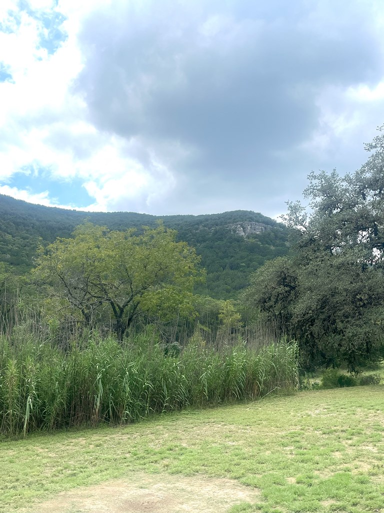 2765 West Ranch Road 337 Leakey, TX 78873 - Photo 14 of 48