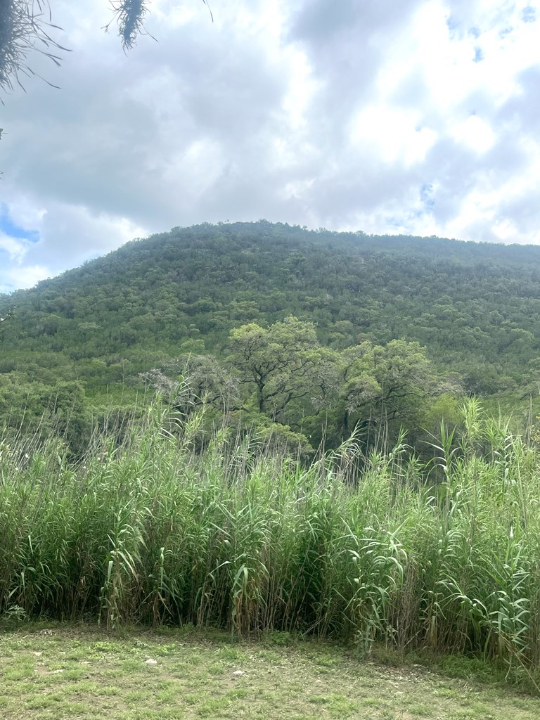 2765 West Ranch Road 337 Leakey, TX 78873 - Photo 15 of 48