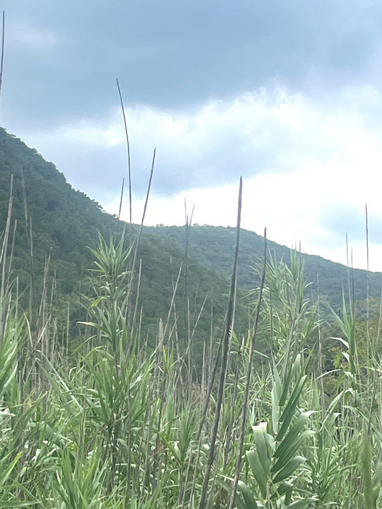 2765 West Ranch Road 337 Leakey, TX 78873 - Photo 16 of 48