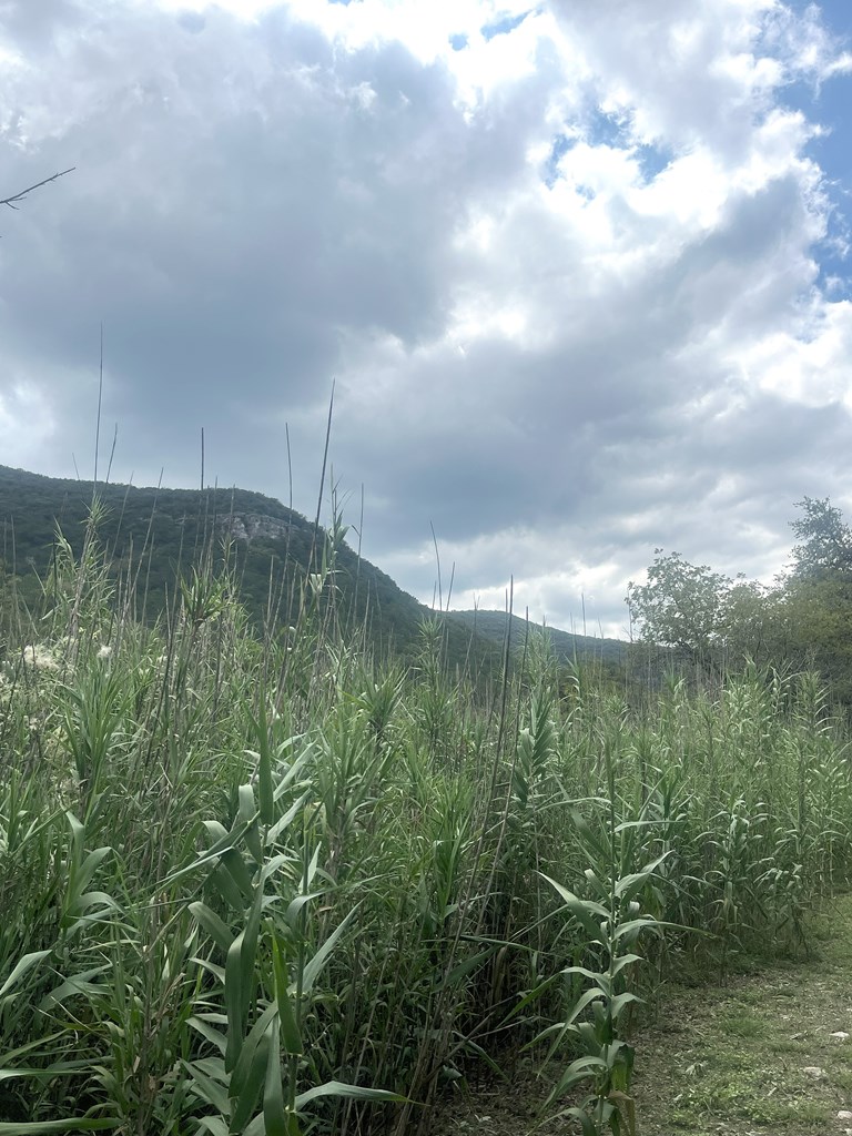 2765 West Ranch Road 337 Leakey, TX 78873 - Photo 17 of 48