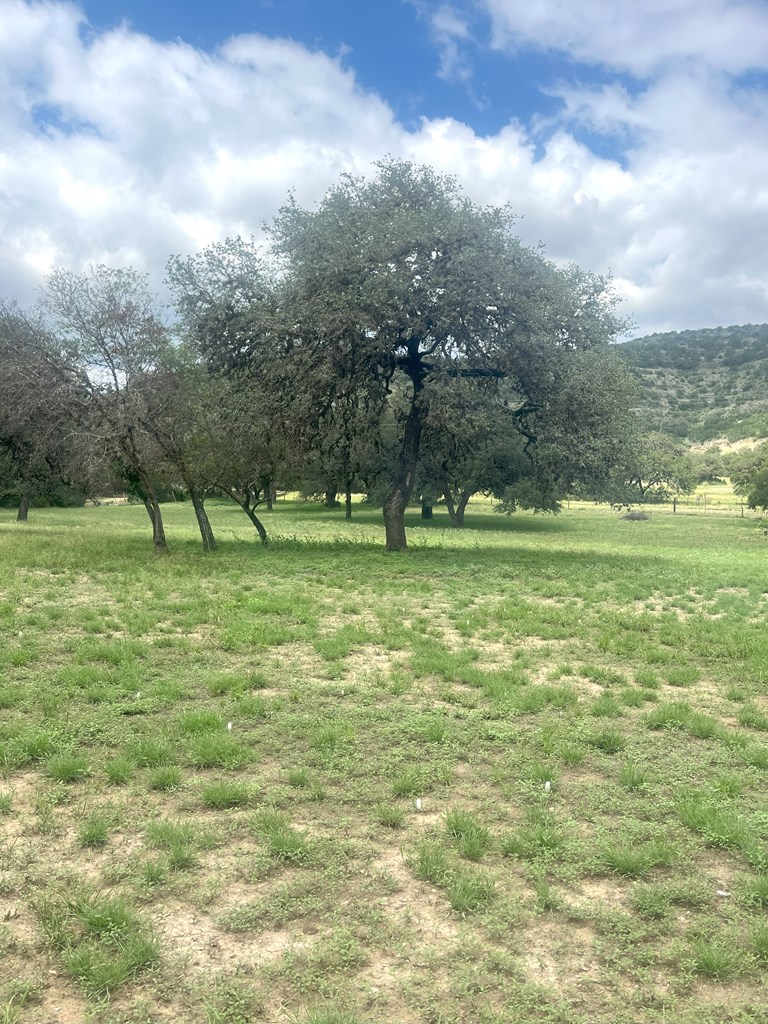 2765 West Ranch Road 337 Leakey, TX 78873 - Photo 20 of 48
