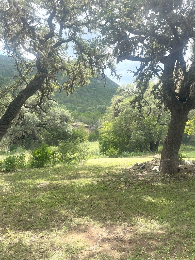 2765 West Ranch Road 337 Leakey, TX 78873 - Photo 23 of 48