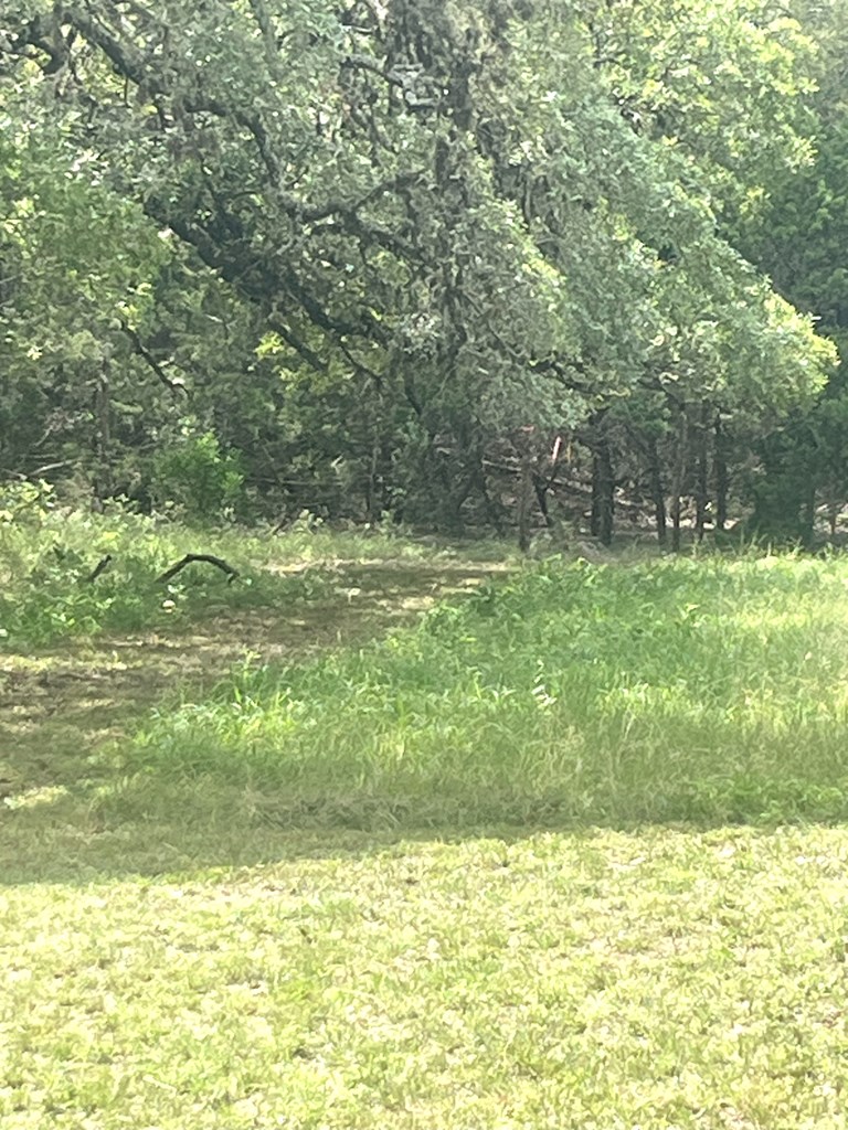 2765 West Ranch Road 337 Leakey, TX 78873 - Photo 24 of 48