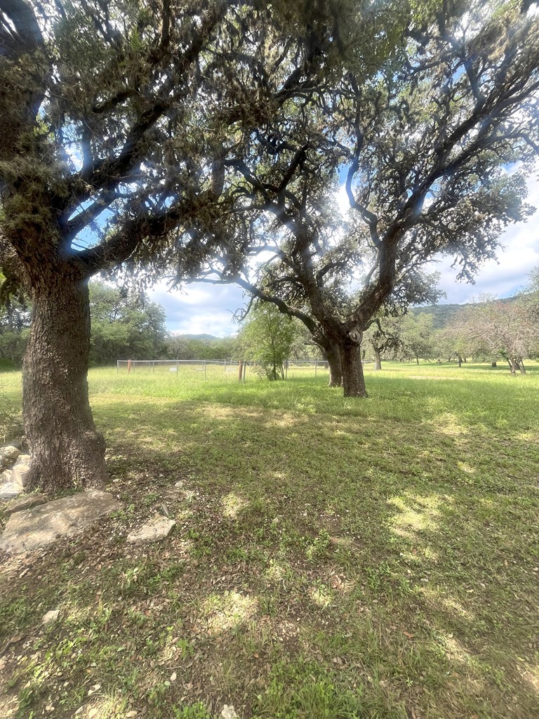 2765 West Ranch Road 337 Leakey, TX 78873 - Photo 26 of 48