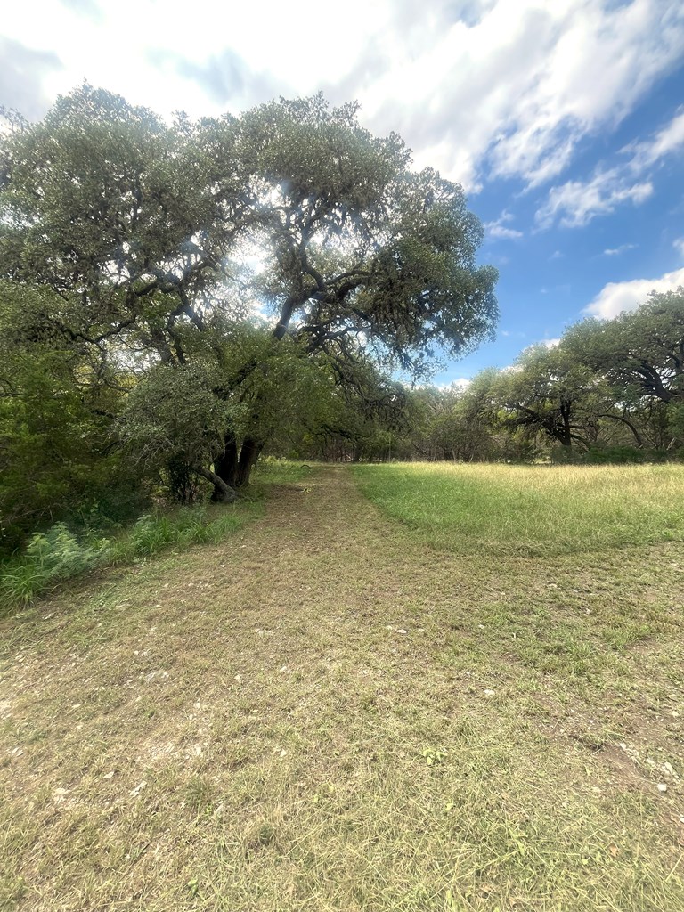 2765 West Ranch Road 337 Leakey, TX 78873 - Photo 27 of 48