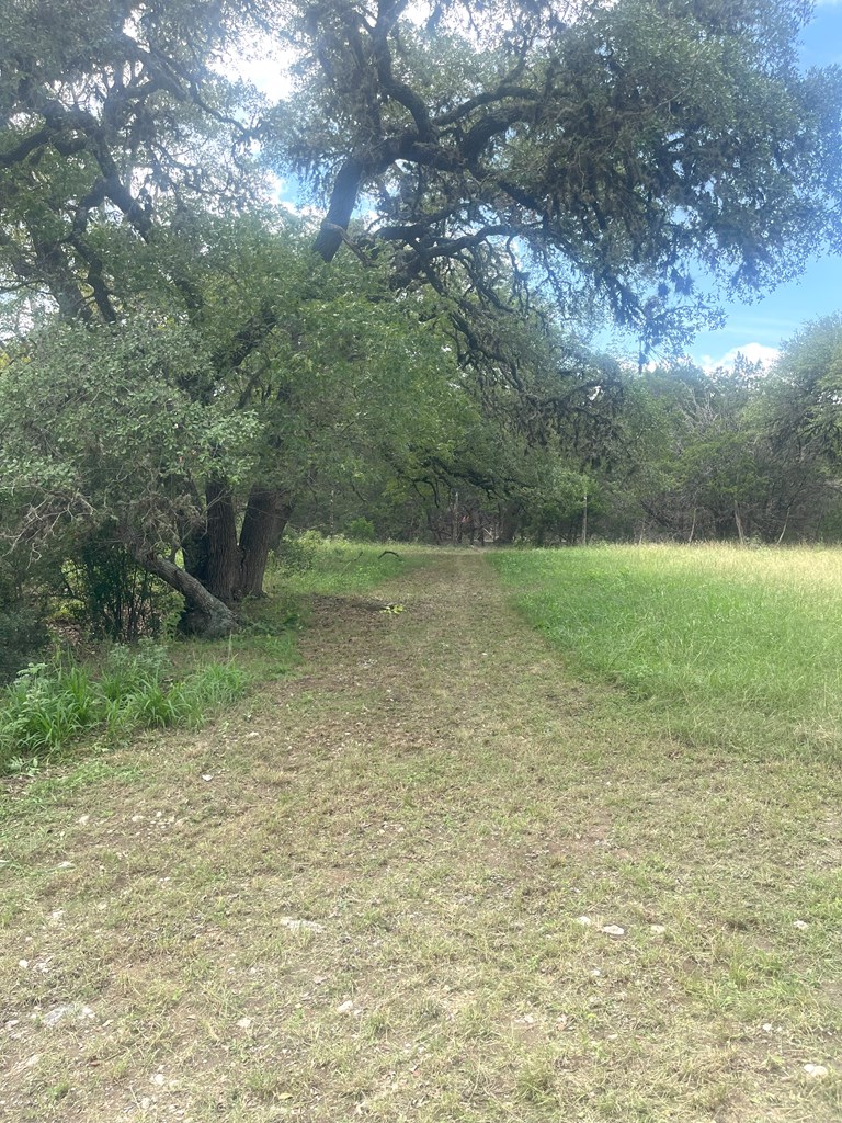 2765 West Ranch Road 337 Leakey, TX 78873 - Photo 28 of 48