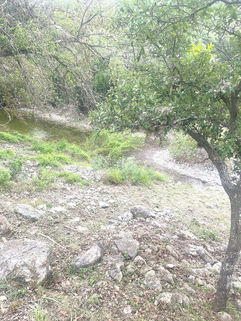 2765 West Ranch Road 337 Leakey, TX 78873 - Photo 3 of 48