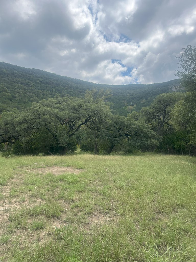 2765 West Ranch Road 337 Leakey, TX 78873 - Photo 31 of 48