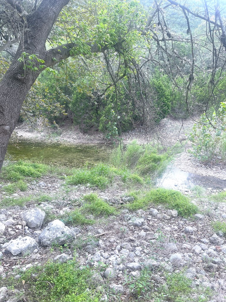 2765 West Ranch Road 337 Leakey, TX 78873 - Photo 4 of 48