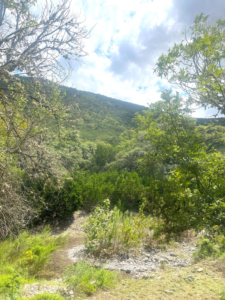 2765 West Ranch Road 337 Leakey, TX 78873 - Photo 6 of 48
