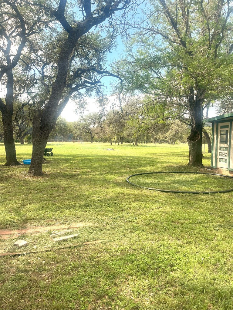 2765 West Ranch Road 337 Leakey, TX 78873 - Photo 8 of 48