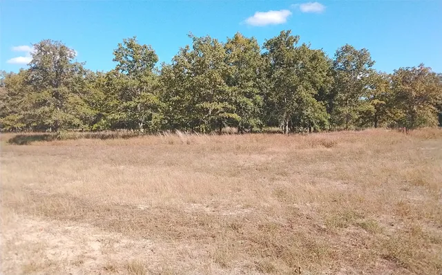 $69,000 | 2565 5 Mile Creek Road, Flatonia, TX 78941