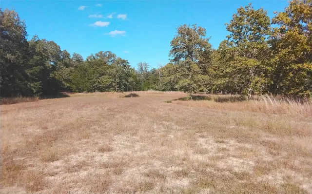 $69,000 | 2565 5 Mile Creek Road, Flatonia, TX 78941