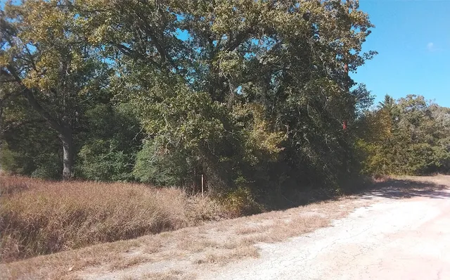 $69,000 | 2565 5 Mile Creek Road, Flatonia, TX 78941