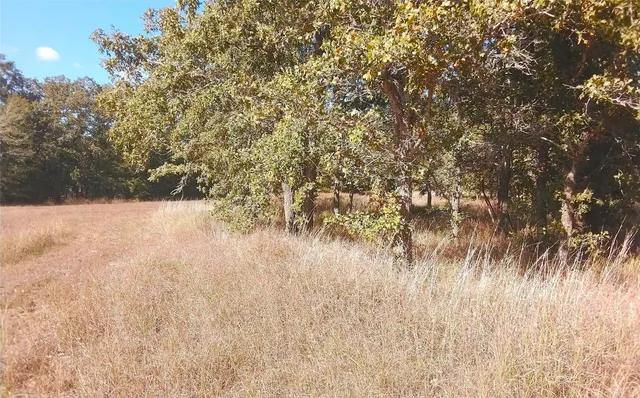 $69,000 | 2565 5 Mile Creek Road, Flatonia, TX 78941