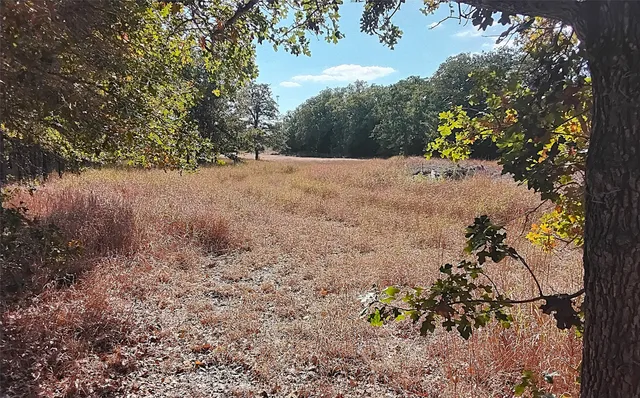 $69,000 | 2565 5 Mile Creek Road, Flatonia, TX 78941