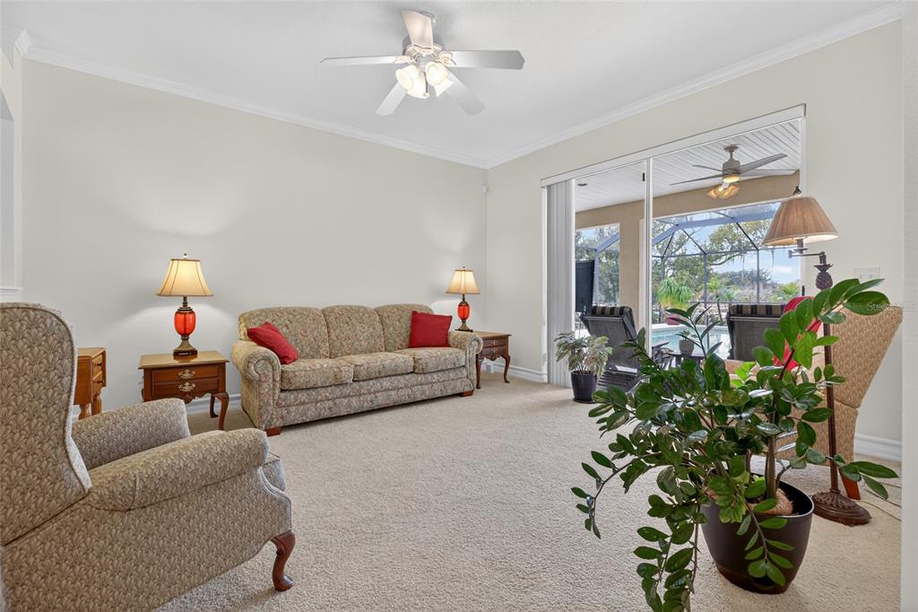 19902 Dolores Ann Court Lutz, FL 33549 - Photo 11 of 80