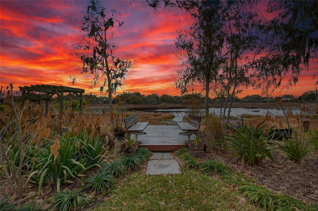 19902 Dolores Ann Court Lutz, FL 33549 - Photo 2 of 80