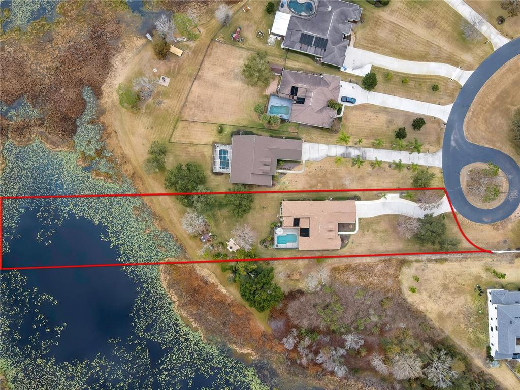 19902 Dolores Ann Court Lutz, FL 33549 - Photo 5 of 80