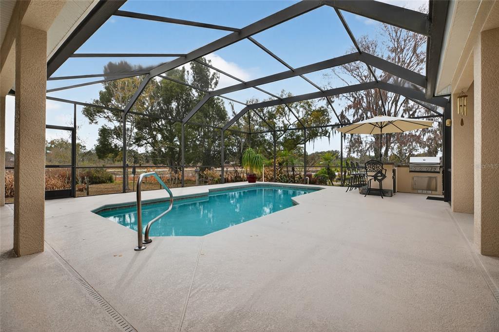 19902 Dolores Ann Court Lutz, FL 33549 - Photo 51 of 80